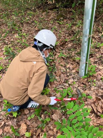 手ガマでしゃがんで草刈りをするメンバー